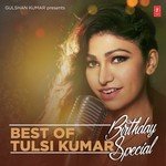 Best Of Tulsi Kumar - Birthday Special - Meet Bros Song Download